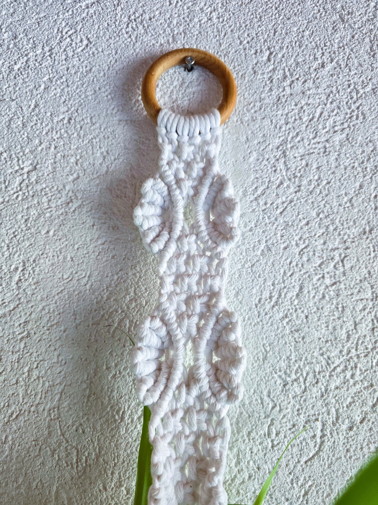 Suspension plantes - Blanc