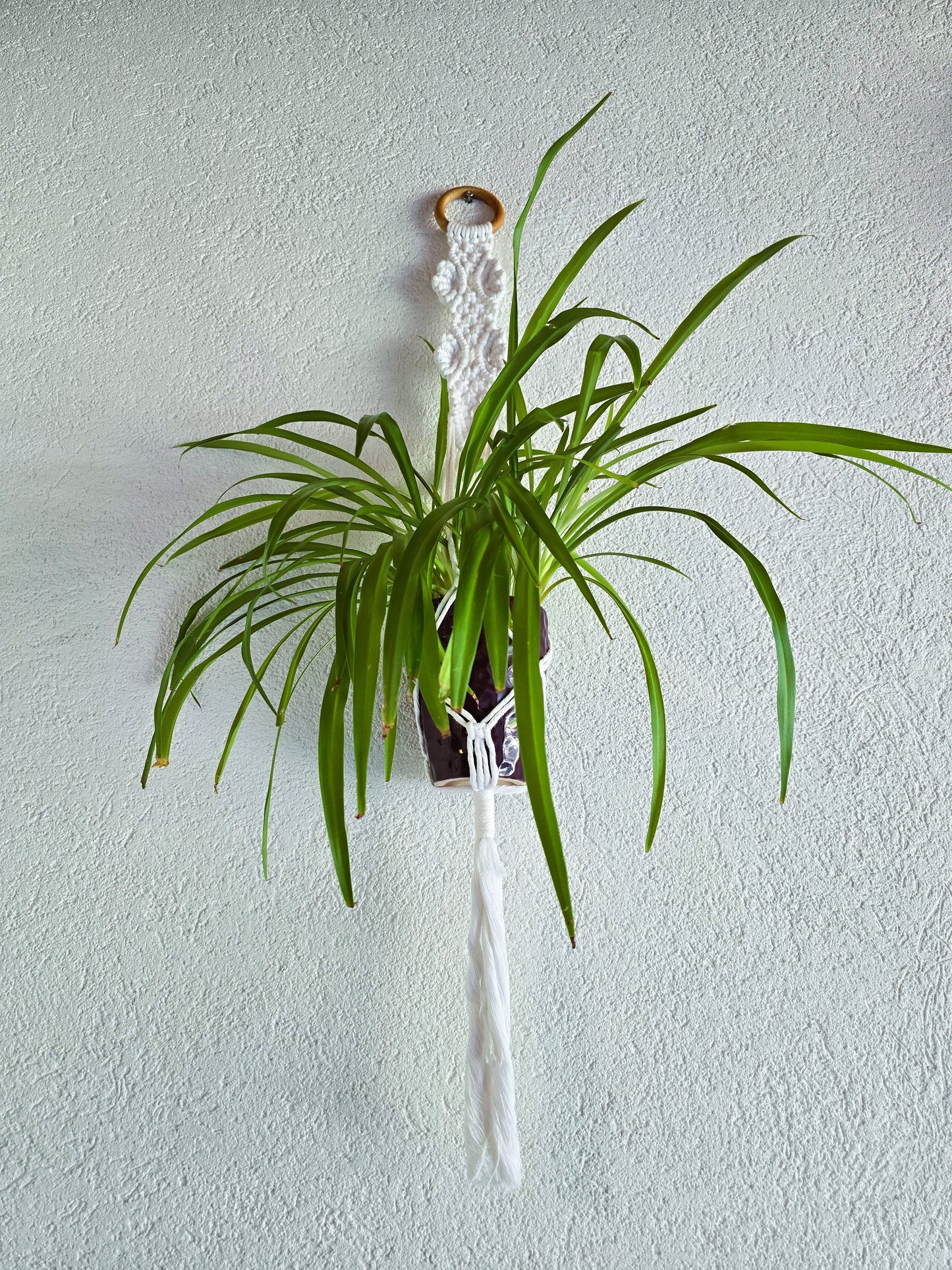 Suspension plantes - Blanc