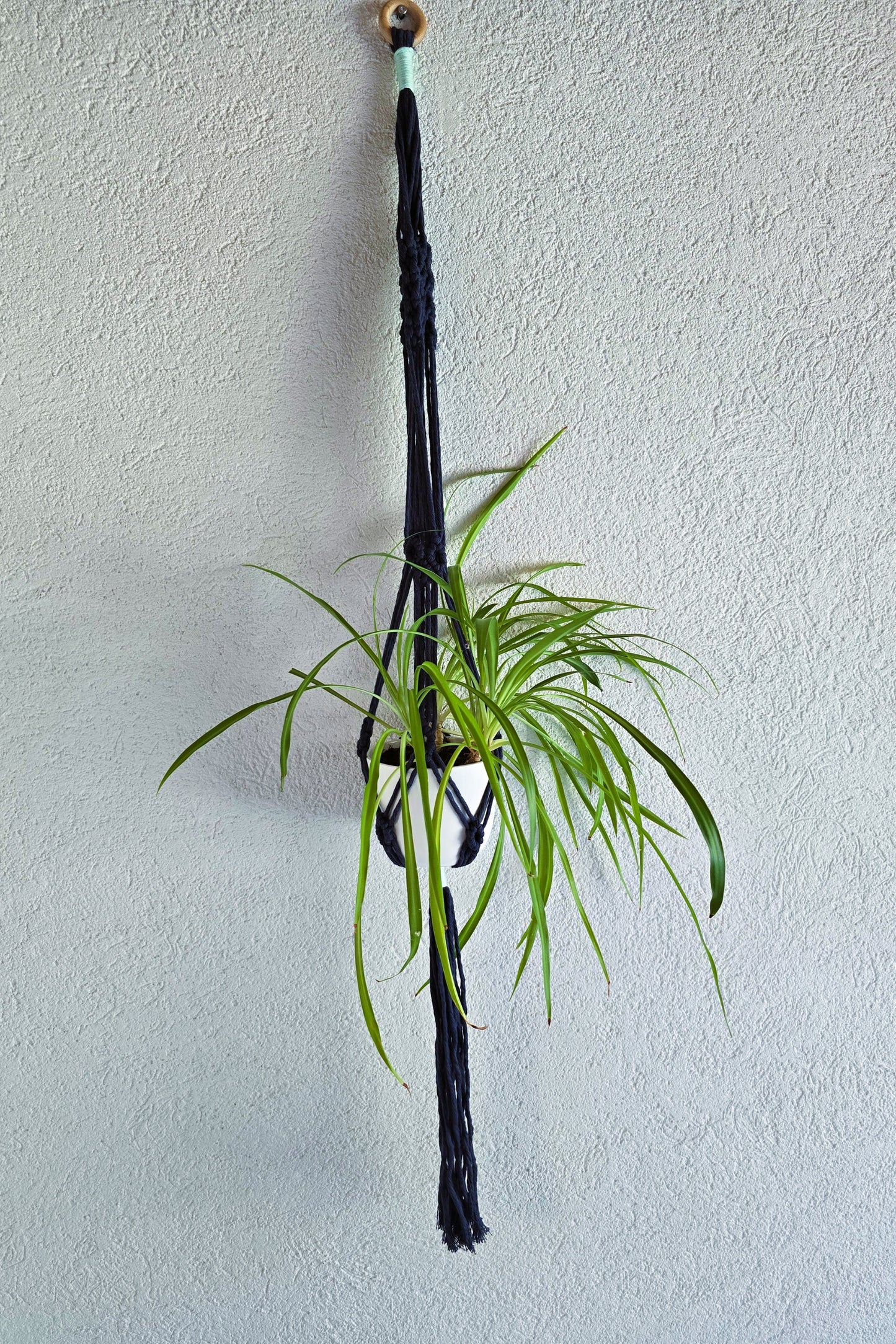 Suspension plantes - Bleu marine