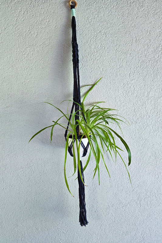 Suspension plantes - Bleu marine