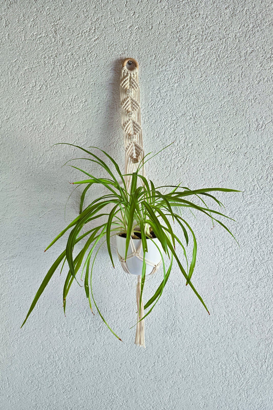 Suspension plantes - Ecru