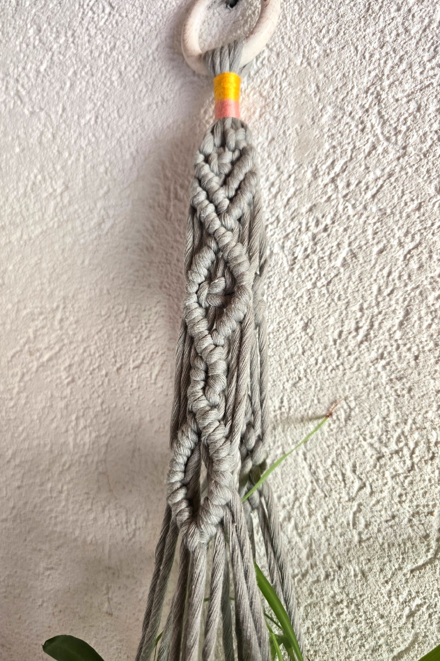 Suspension plantes - Gris