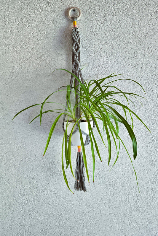 Suspension plantes - Gris