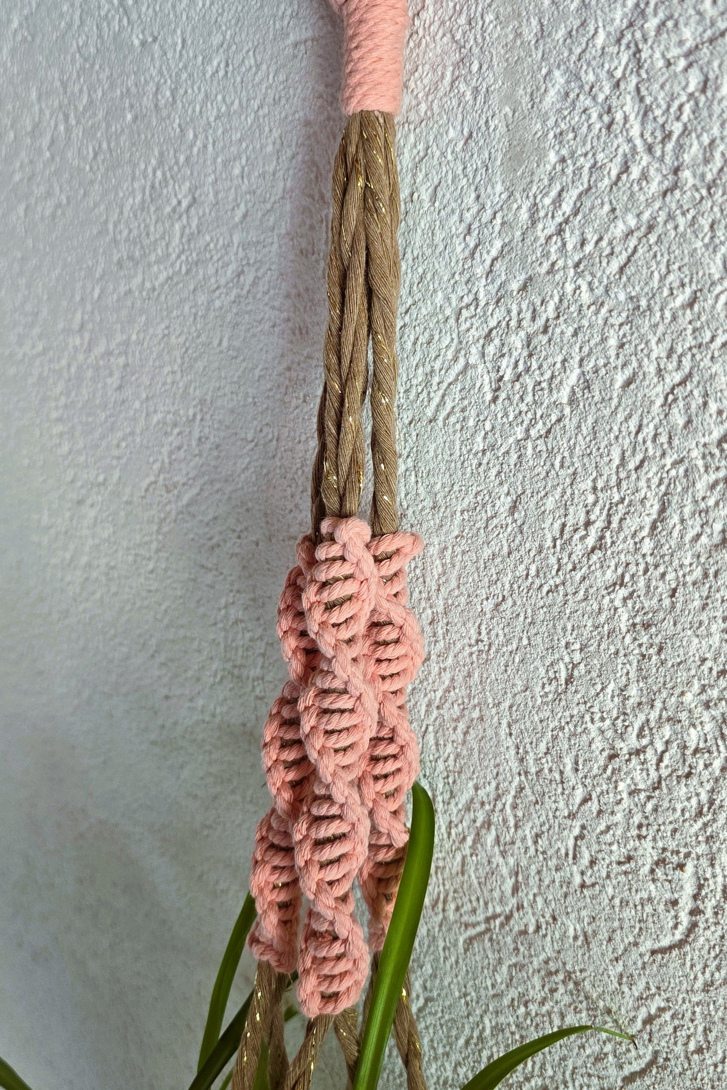 Suspension plantes - Muscade et Fil or