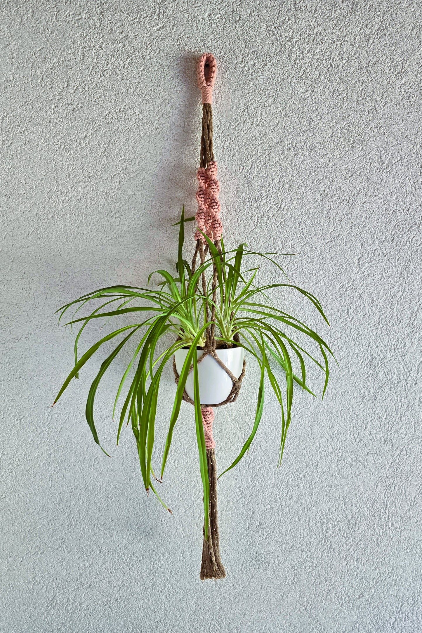 Suspension plantes - Muscade et Fil or