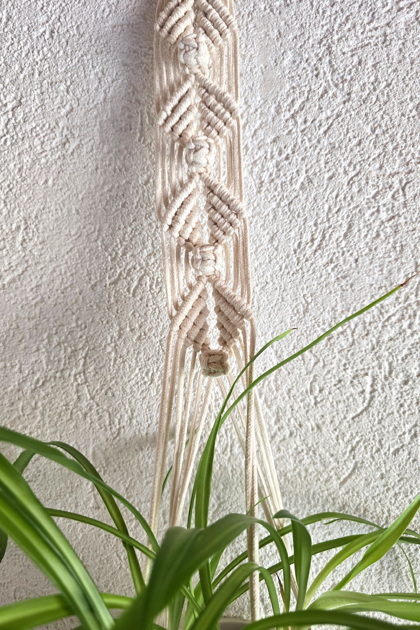 Suspension plantes - Ecru