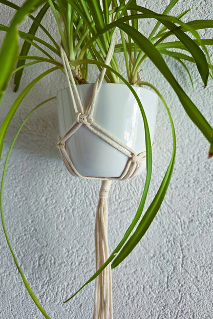 Suspension plantes - Ecru