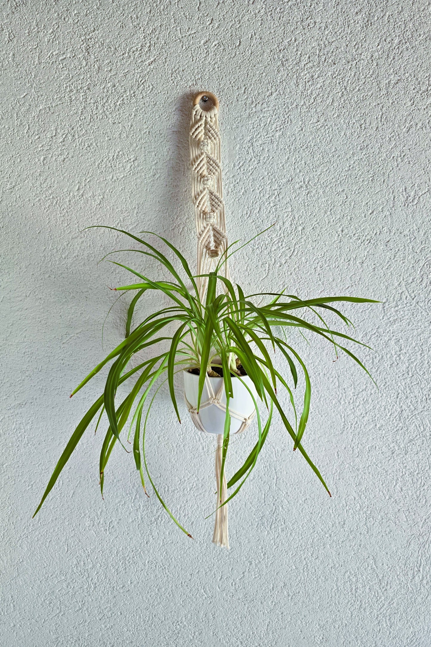 Suspension plantes - Ecru