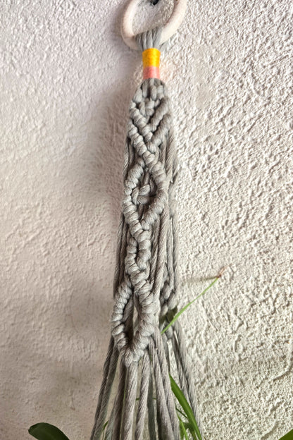 Suspension plantes - Gris