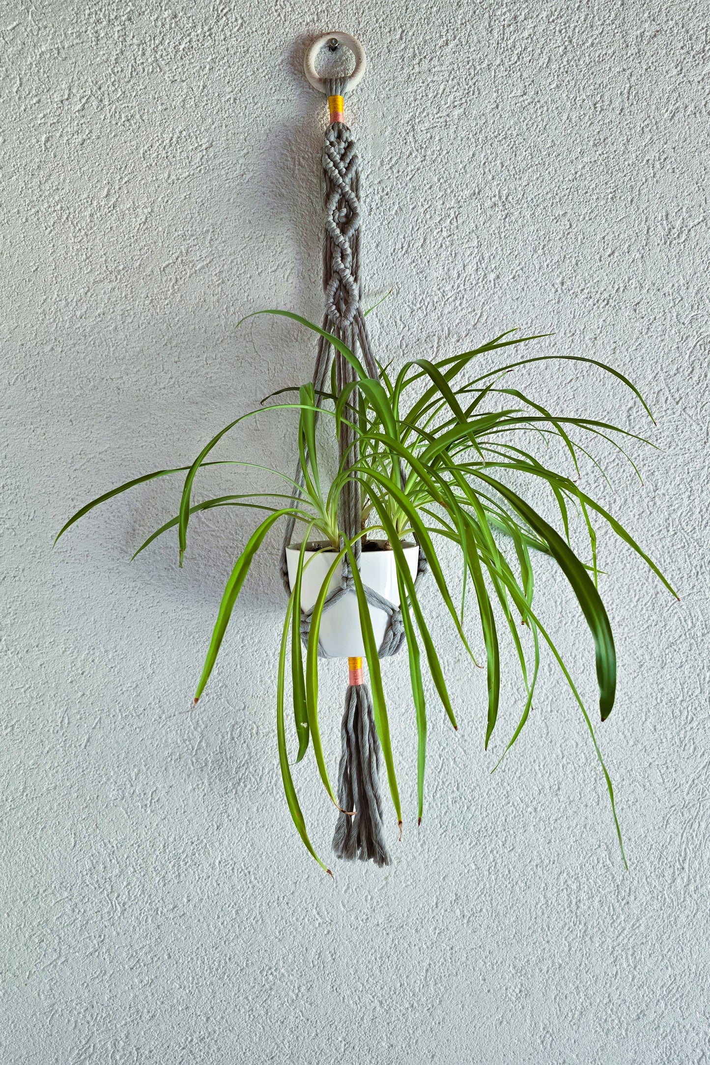 Suspension plantes - Gris