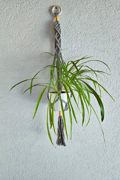 Suspension plantes - Gris