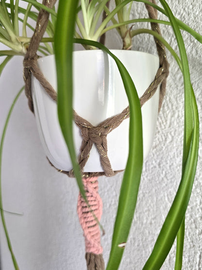 Suspension plantes - Muscade et Fil or