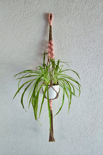 Suspension plantes - Muscade et Fil or