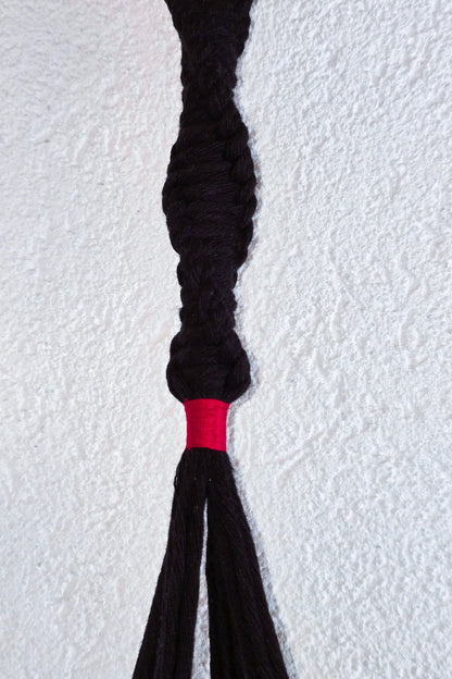 Suspension plantes - Noir et Rouge