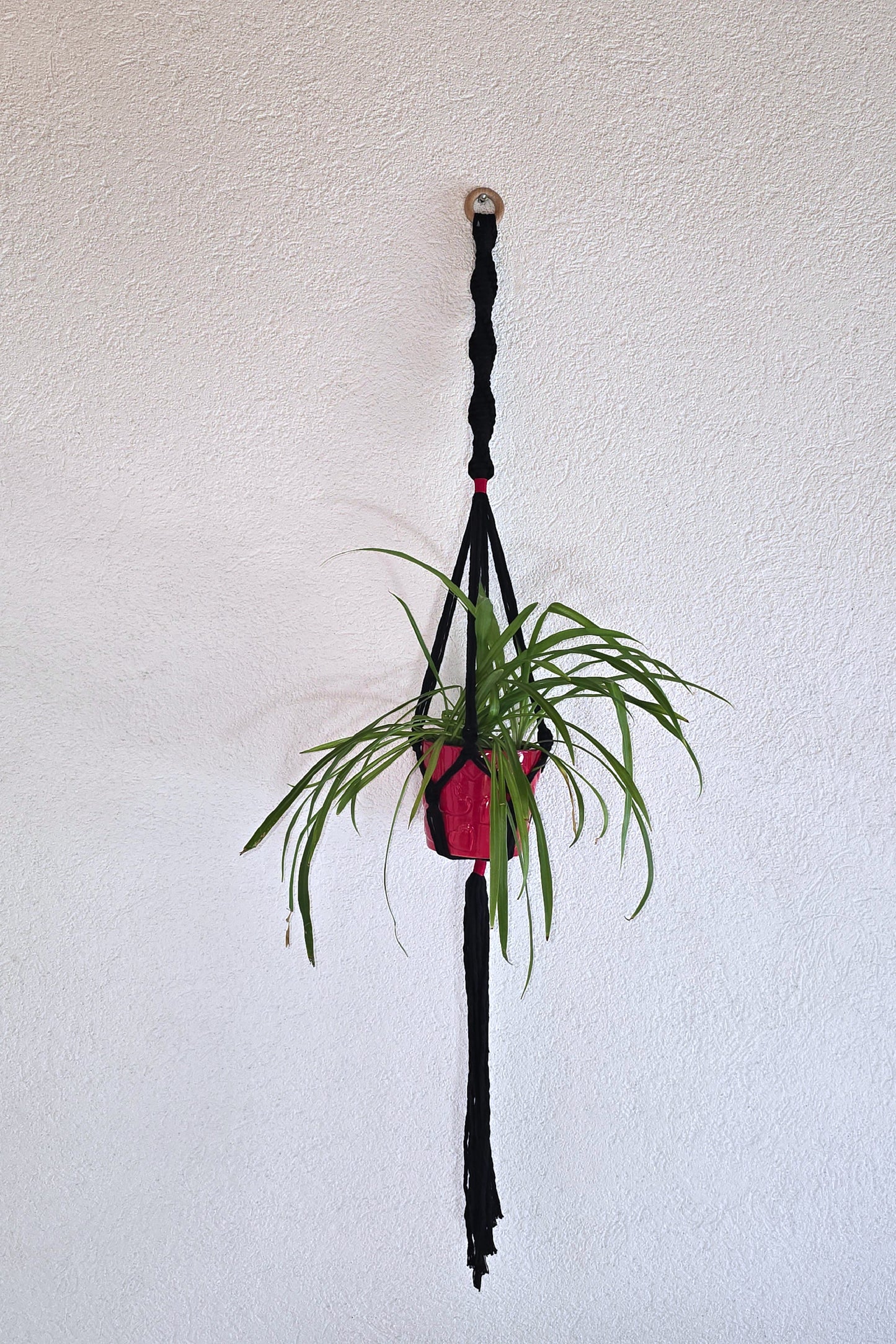 Suspension plantes - Noir et Rouge