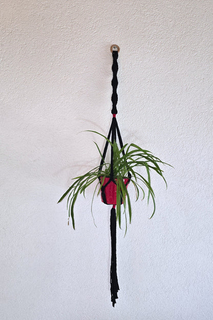 Suspension plantes - Noir et Rouge