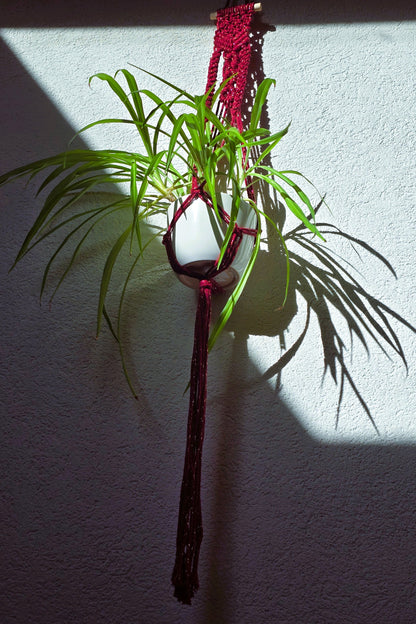 Suspensions plantes - Bordeaux et Fil or