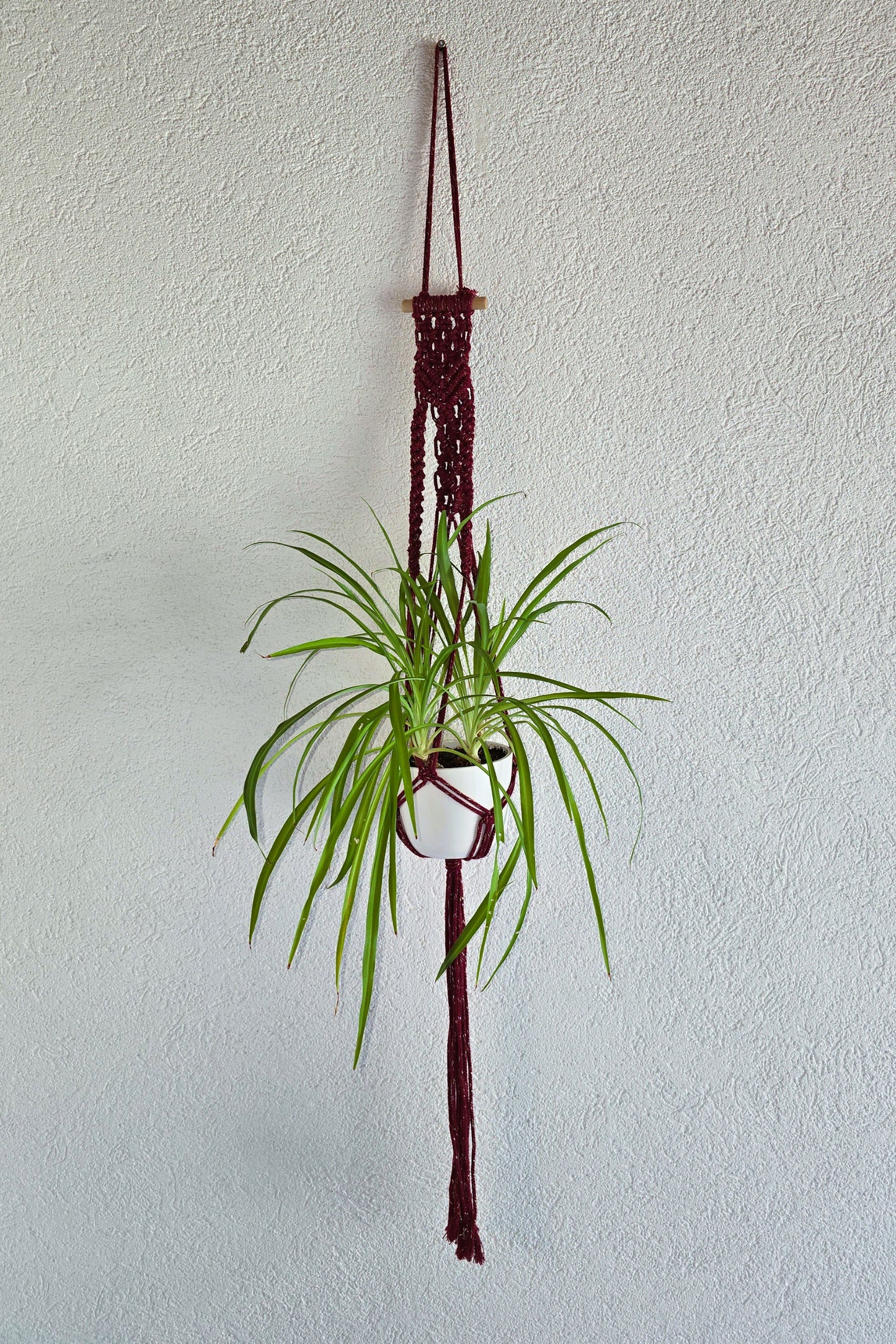 Suspensions plantes - Bordeaux et Fil or