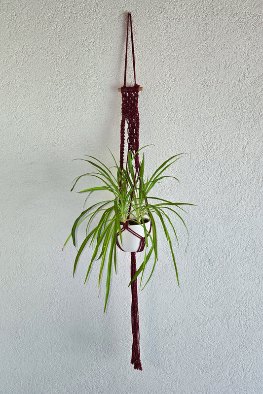 Suspensions plantes - Bordeaux et Fil or